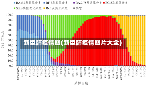 新型肺疫情图(新型肺疫情图片大全)-第1张图片