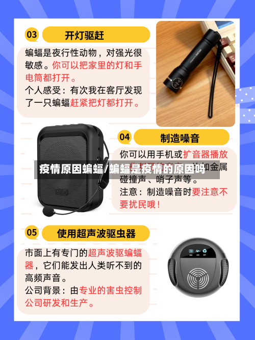 疫情原因蝙蝠/蝙蝠是疫情的原因吗-第1张图片