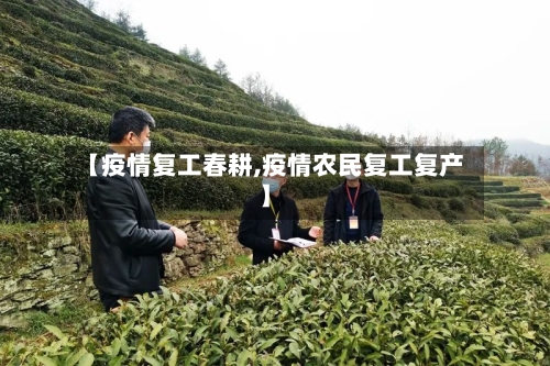 【疫情复工春耕,疫情农民复工复产】-第2张图片