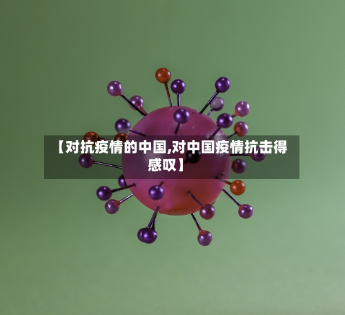 【对抗疫情的中国,对中国疫情抗击得感叹】-第1张图片