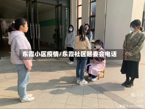 东霞小区疫情/东霞社区居委会电话-第1张图片