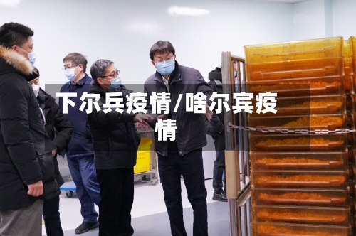 下尔兵疫情/啥尔宾疫情-第2张图片