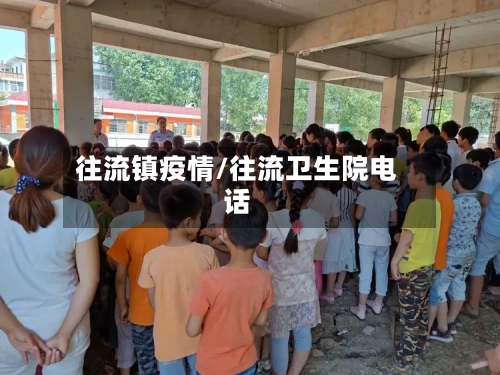 往流镇疫情/往流卫生院电话-第1张图片