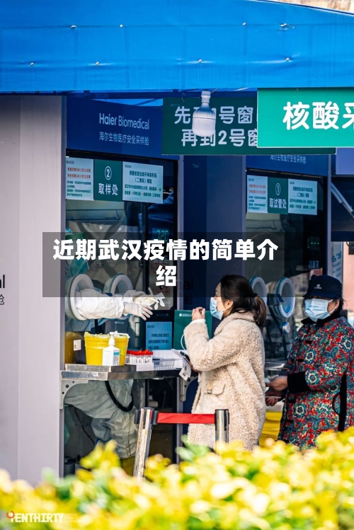 近期武汉疫情的简单介绍-第3张图片