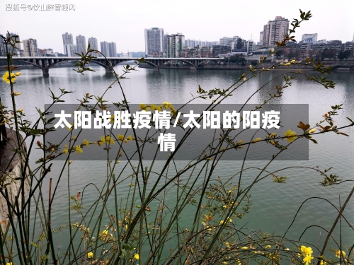 太阳战胜疫情/太阳的阳疫情-第1张图片