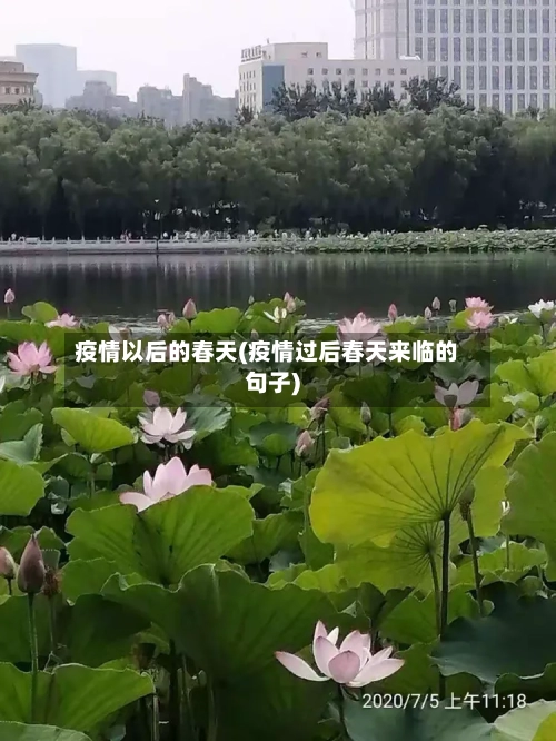 疫情以后的春天(疫情过后春天来临的句子)-第2张图片