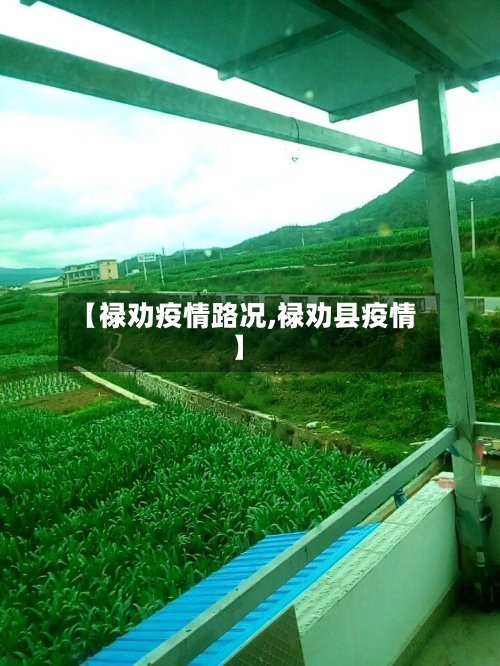 【禄劝疫情路况,禄劝县疫情】-第2张图片