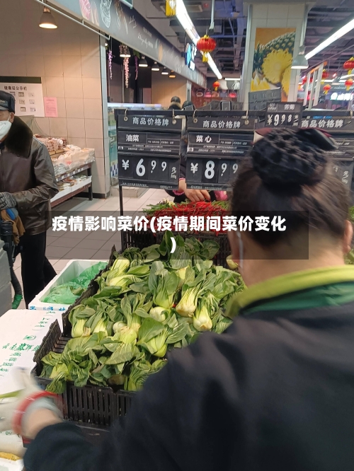 疫情影响菜价(疫情期间菜价变化)-第3张图片