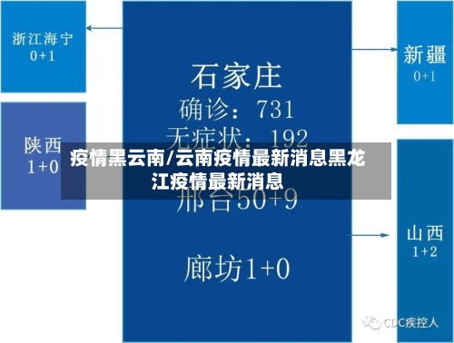 疫情黑云南/云南疫情最新消息黑龙江疫情最新消息-第3张图片