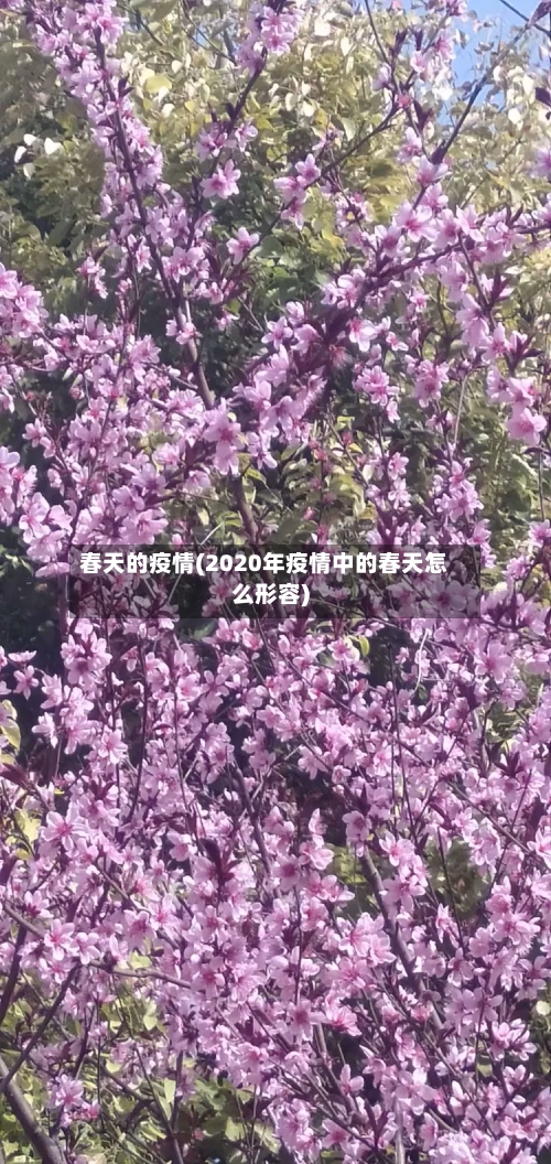 春天的疫情(2020年疫情中的春天怎么形容)-第2张图片