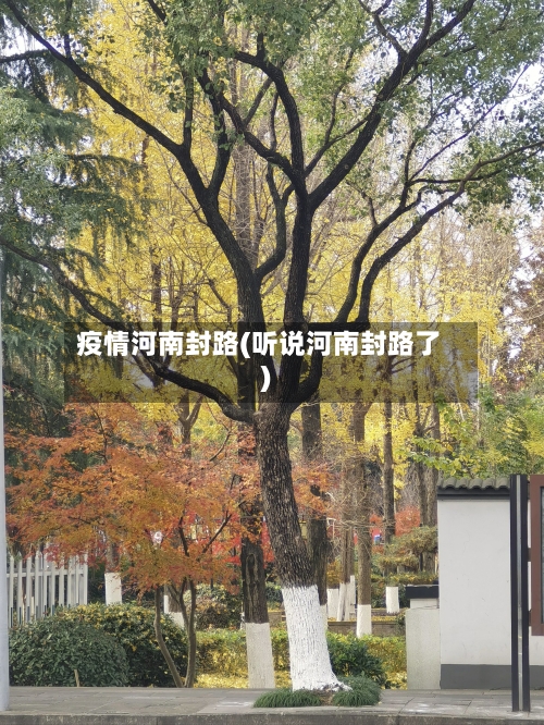 疫情河南封路(听说河南封路了)-第1张图片